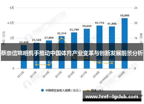 蔡崇信姚明携手推动中国体育产业变革与创新发展前景分析